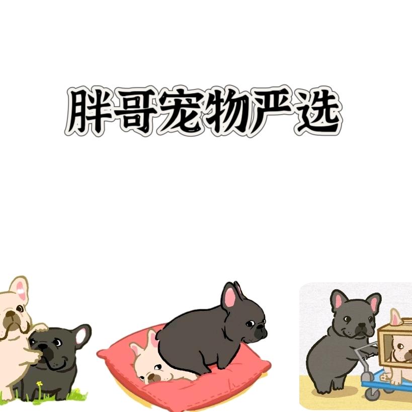 胖哥宠物严选