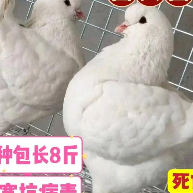 用户566796800