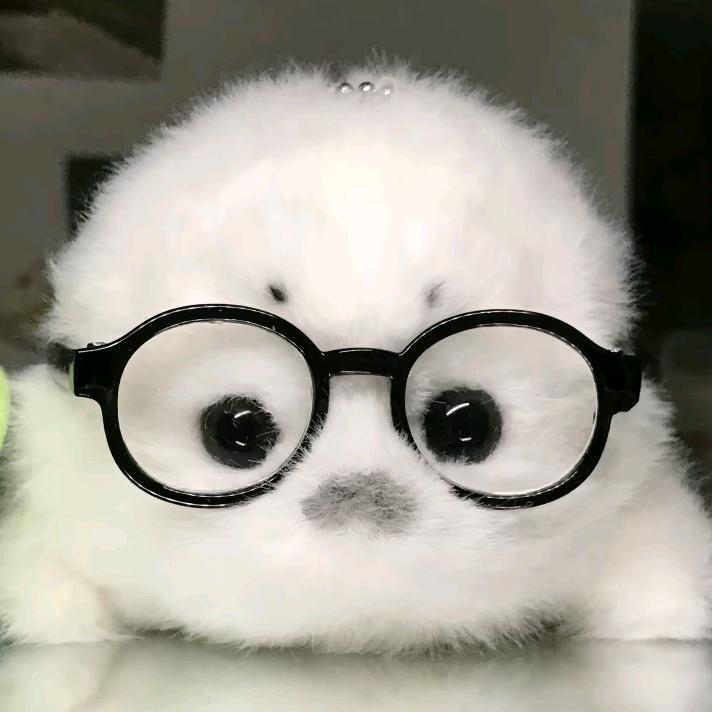 (･∞･ﾐэ )Э