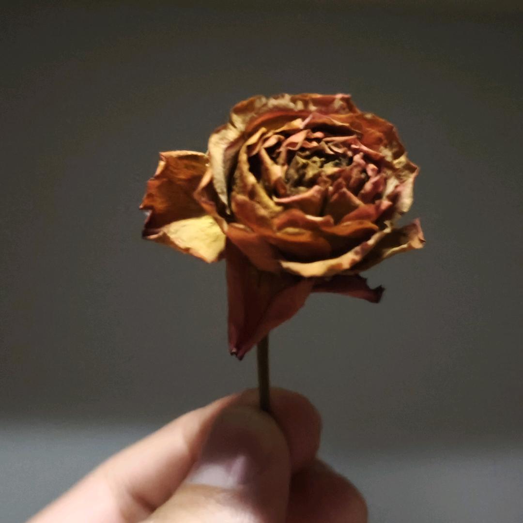 小张很励志man（六年之约）