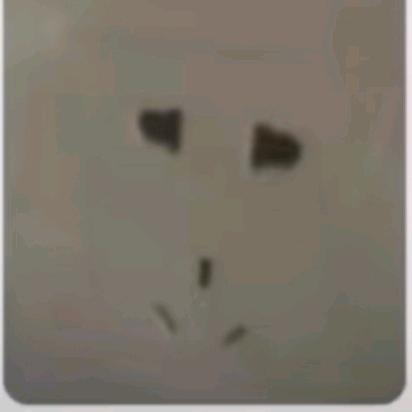 可心如意头像