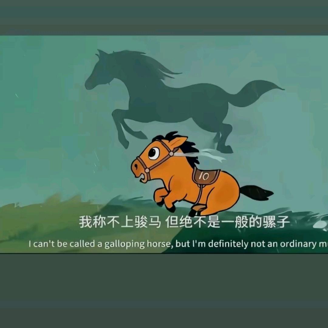 @齐小哥（话事人）