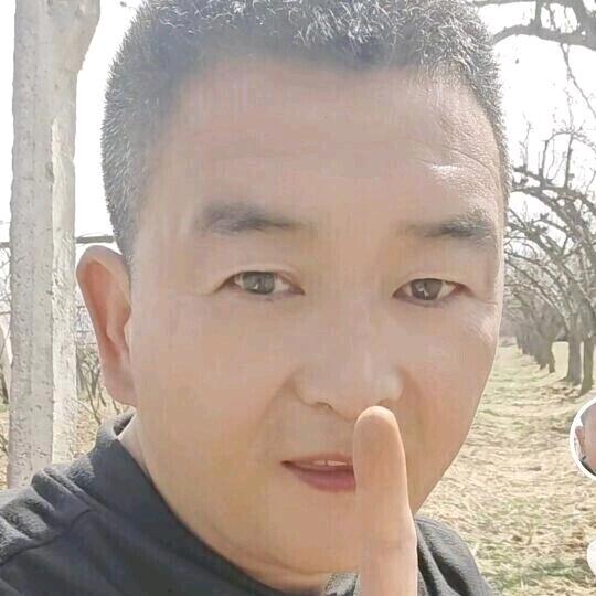 斌歌