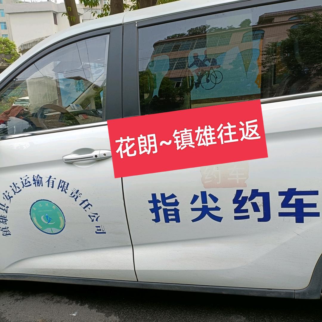 花朗——镇雄