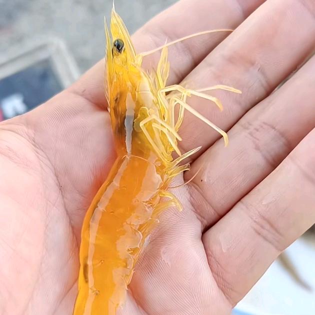 沉默
