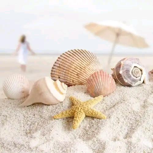 贝贝💃🏻💃🏻💃🏻