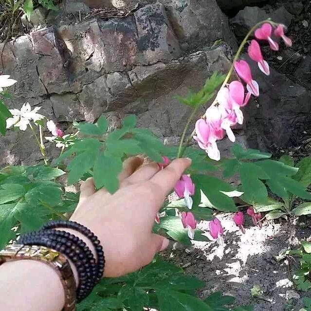 心静❤如水12356