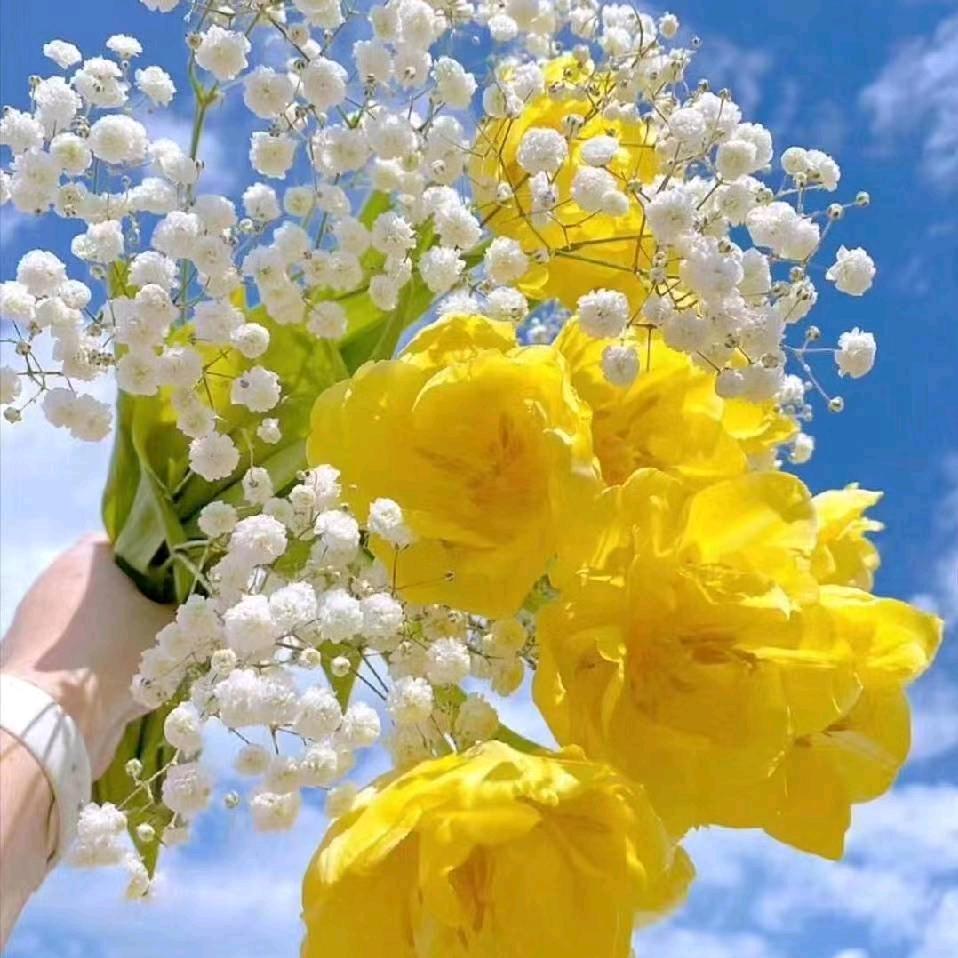 🍀繁星