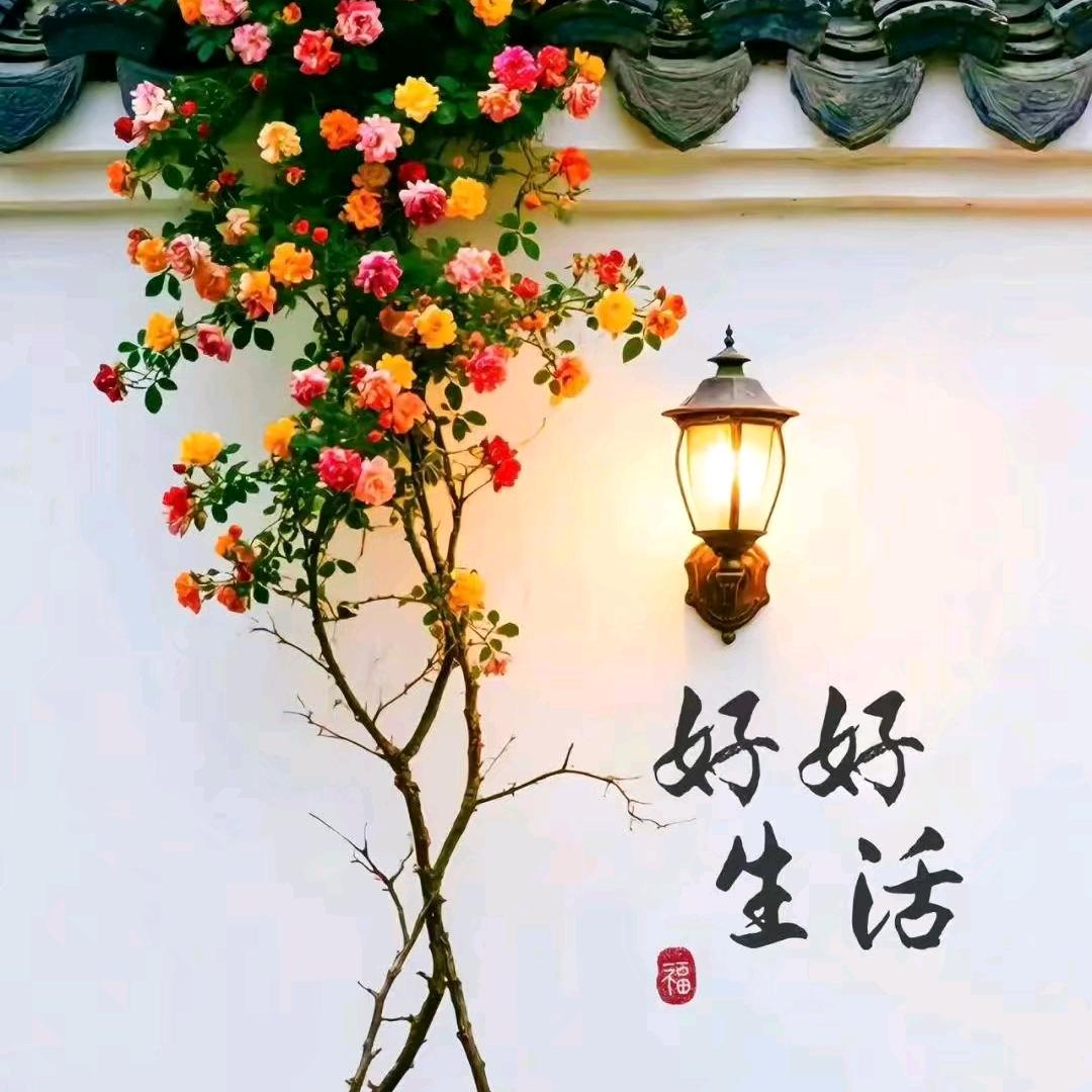 忘记过去