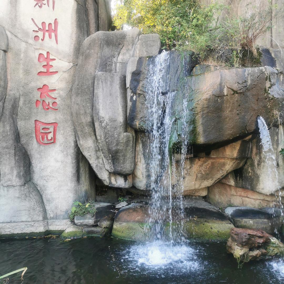 向天再借伍佰年