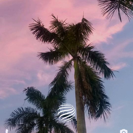 珍珍