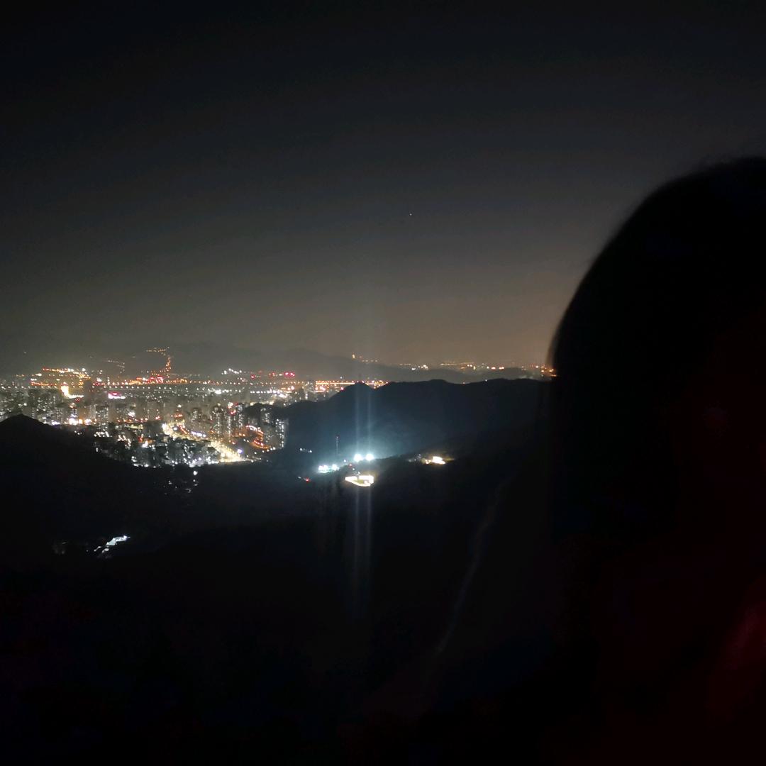 观复