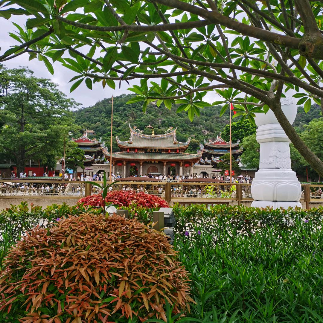 来乐乐