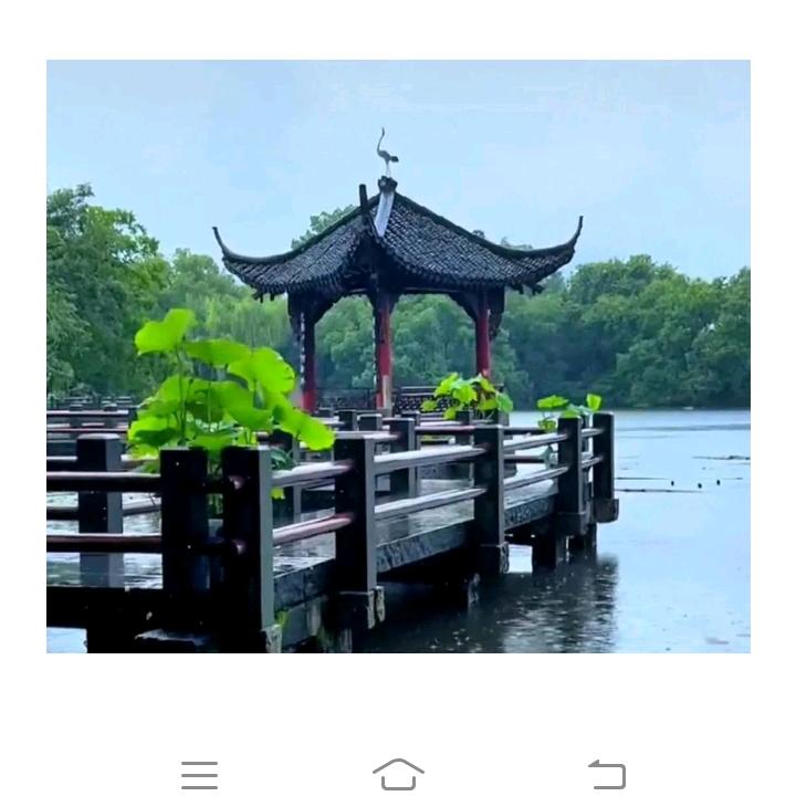 阳光