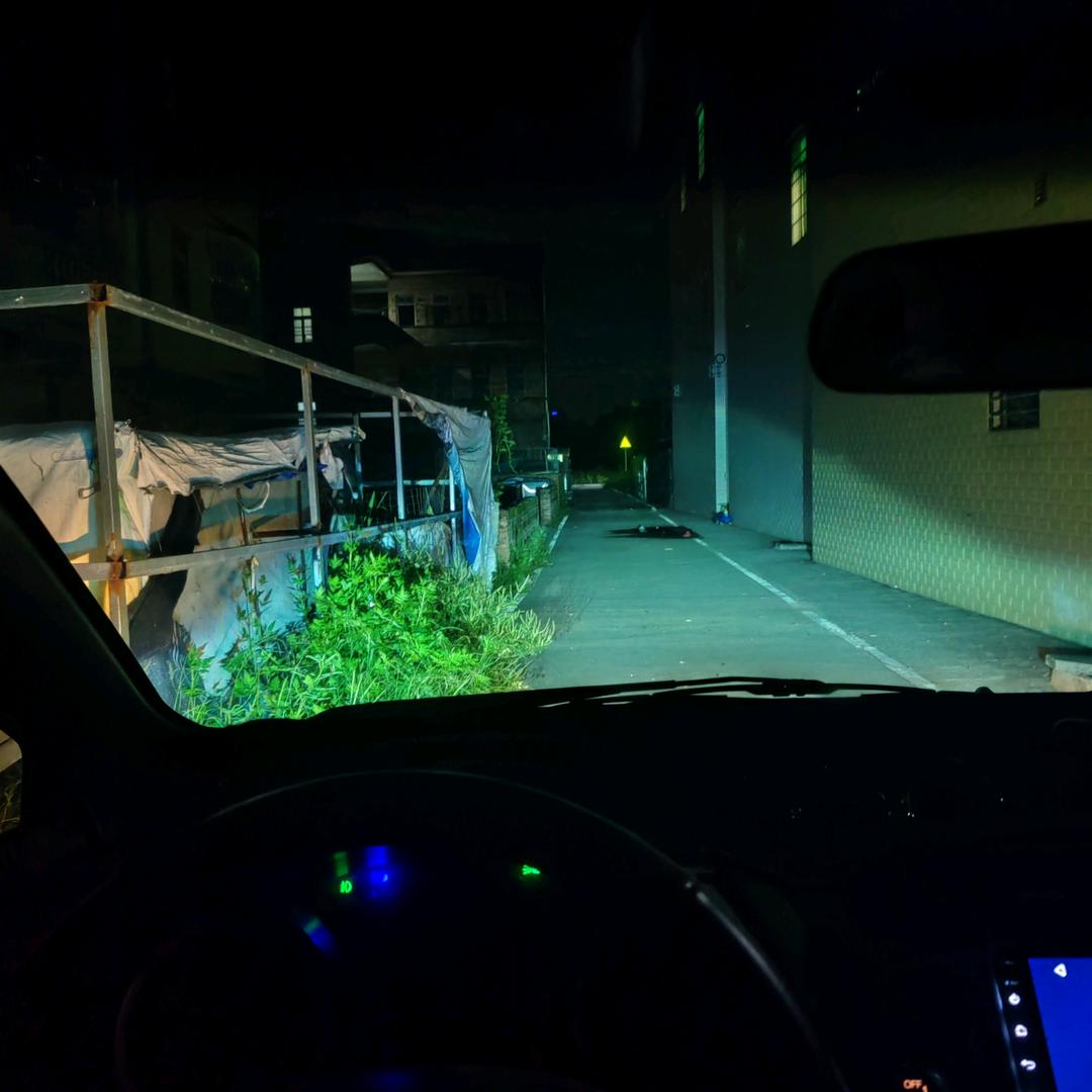 程弟