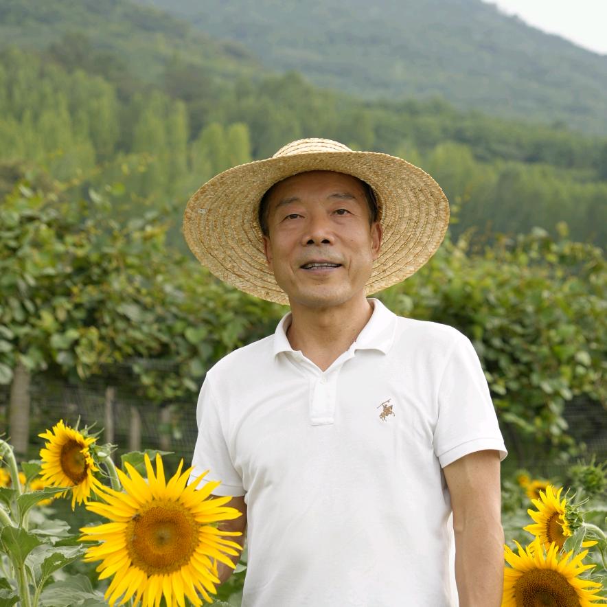 老刘的健康生活