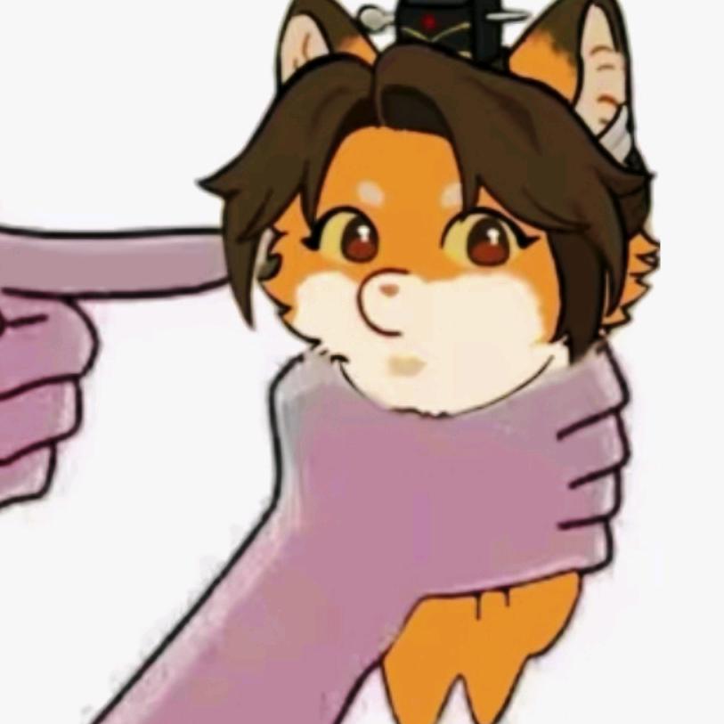 ₊⁺ ꒰১ 玖兰枢໒꒱ ⁺₊