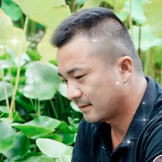 菩提树下的流氓兔