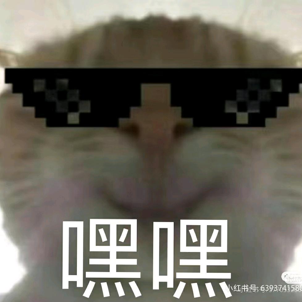 没钱谈何梦想
