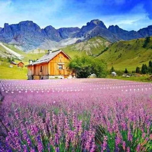 @萍儿（拒私聊)