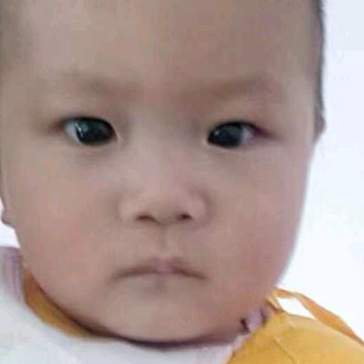 我送你一朵花祝你生日快乐