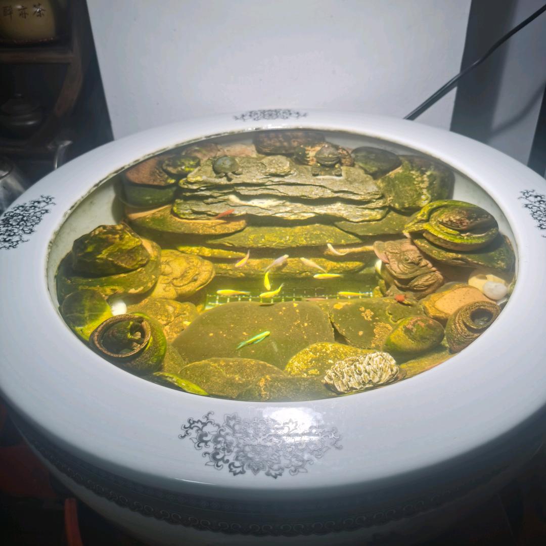 随～缘