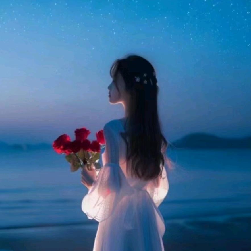 星河入梦