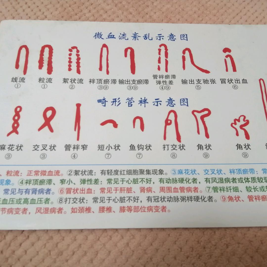 贾焕容