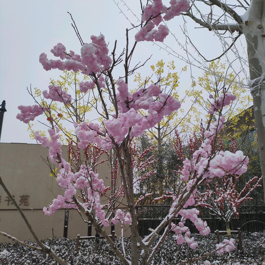⍤⃝🍒橙٭꯭意满满༉᭄✾͡࿐
