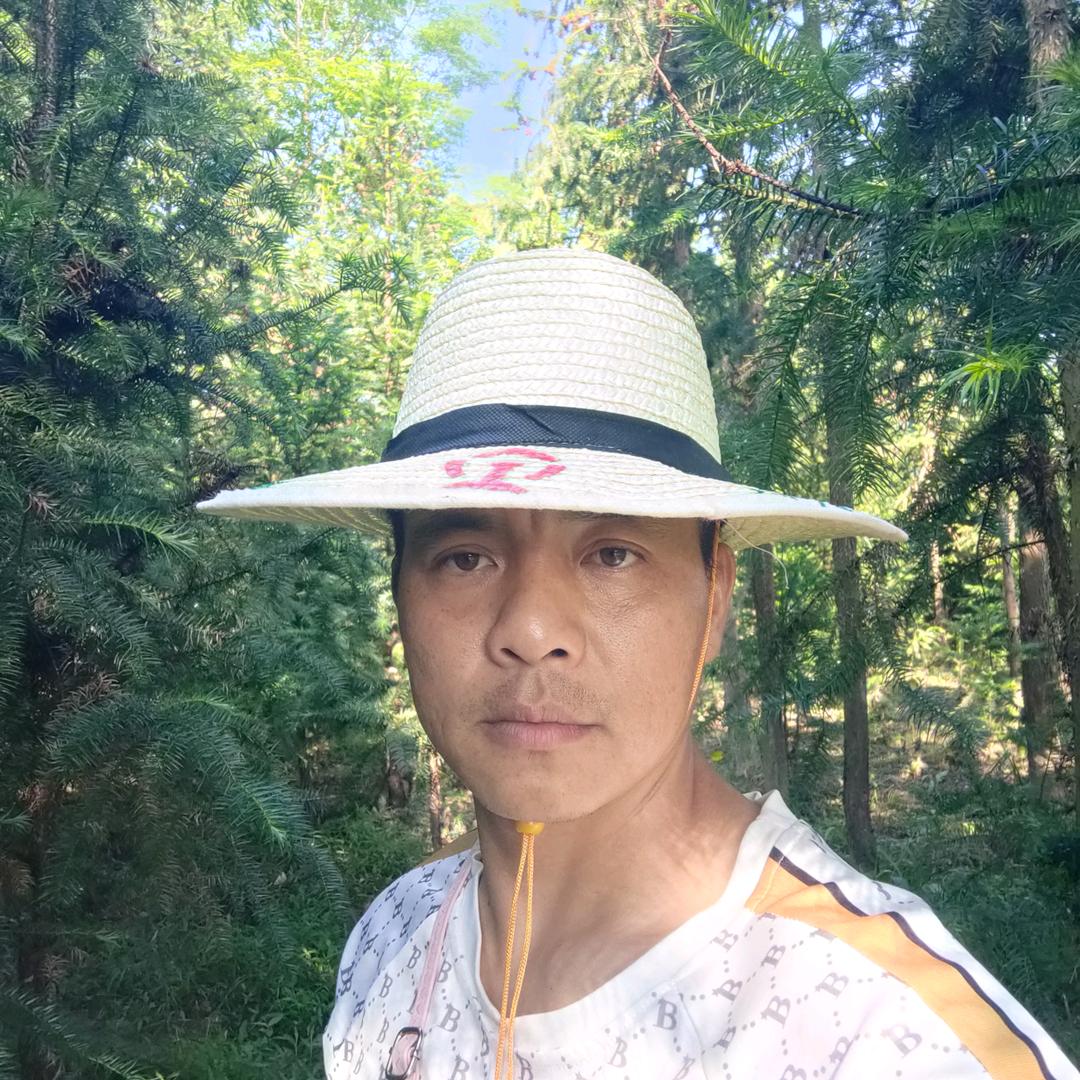 农村人讲植物3