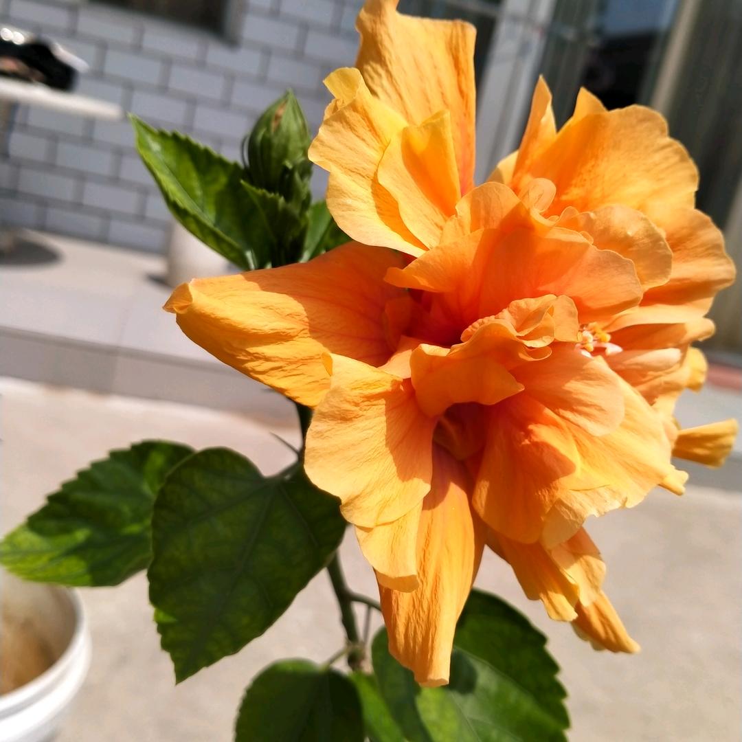 余生的牵挂