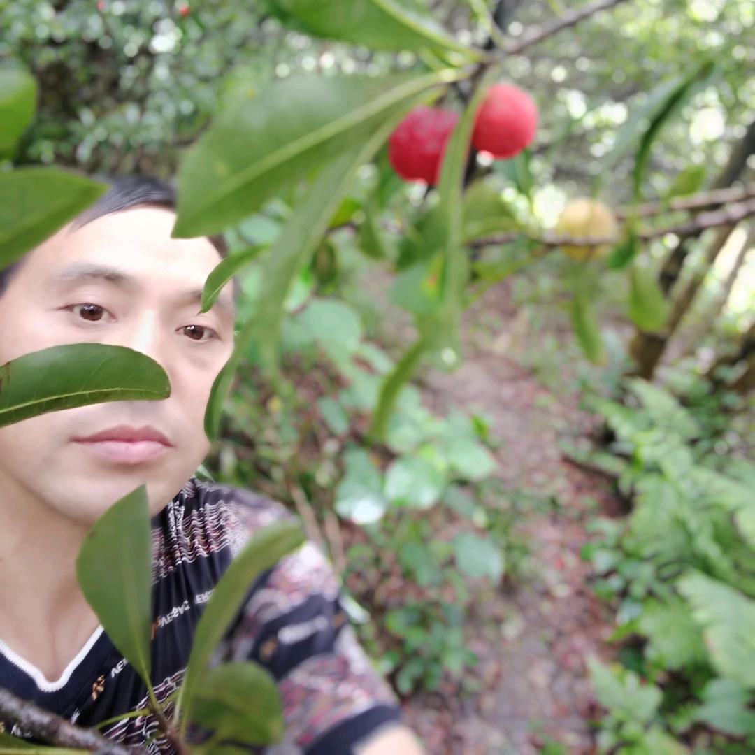 辛福之约