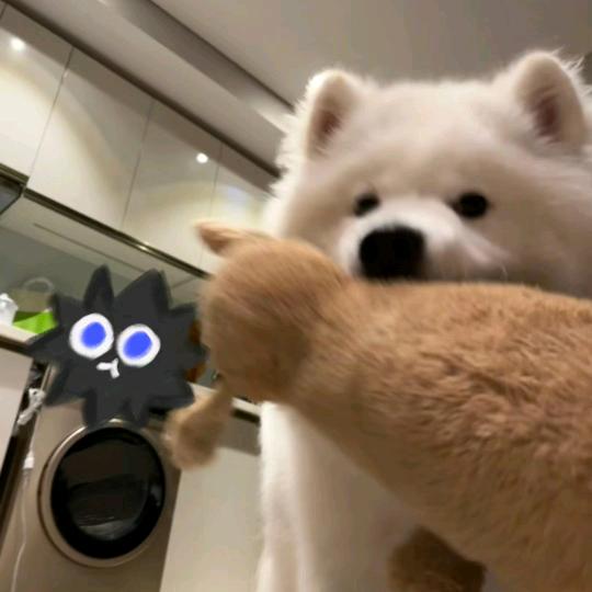 Zzzyq