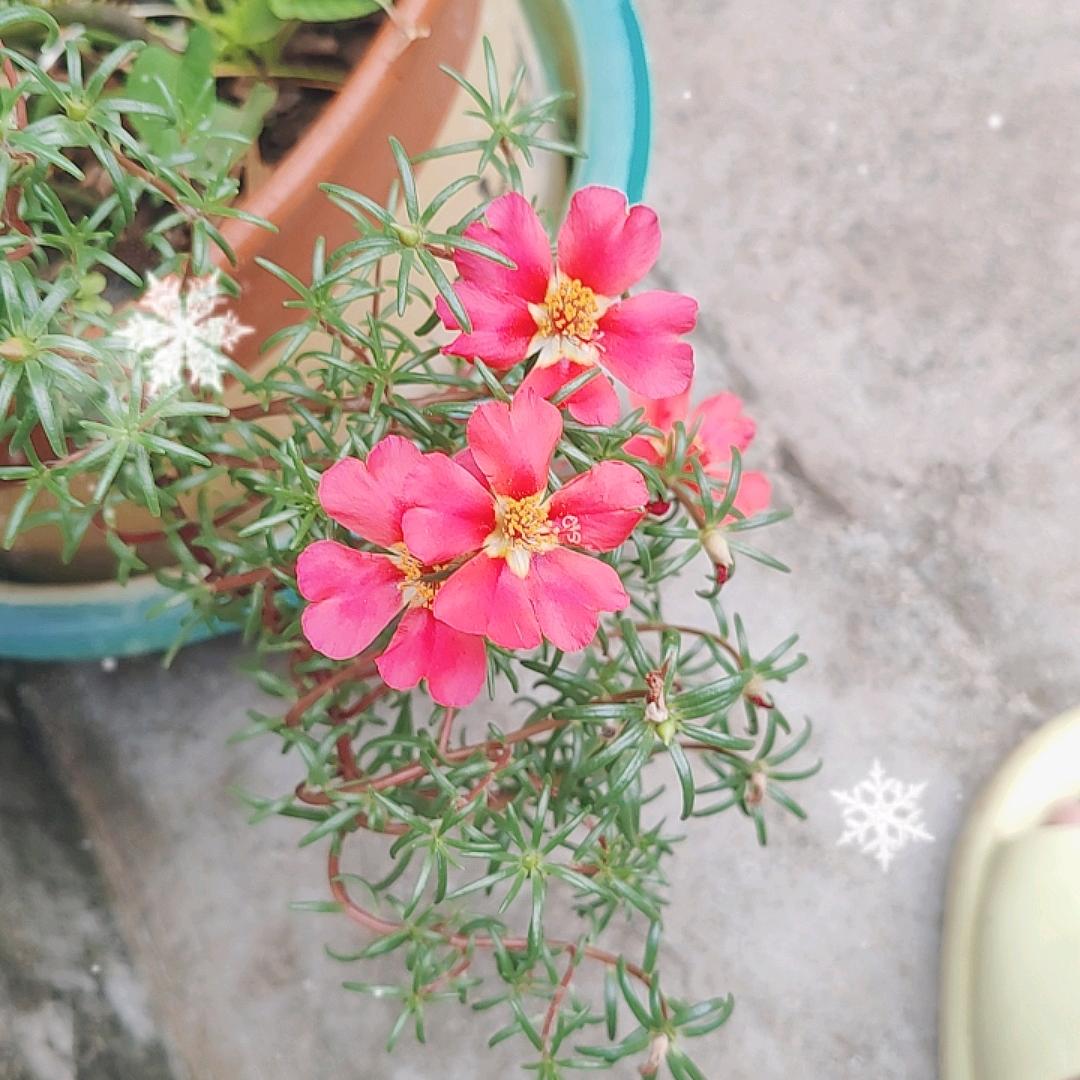 风雨无阻