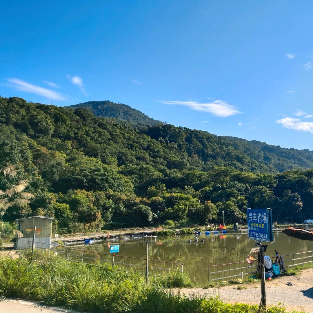 安溪官桥兴丰钓场