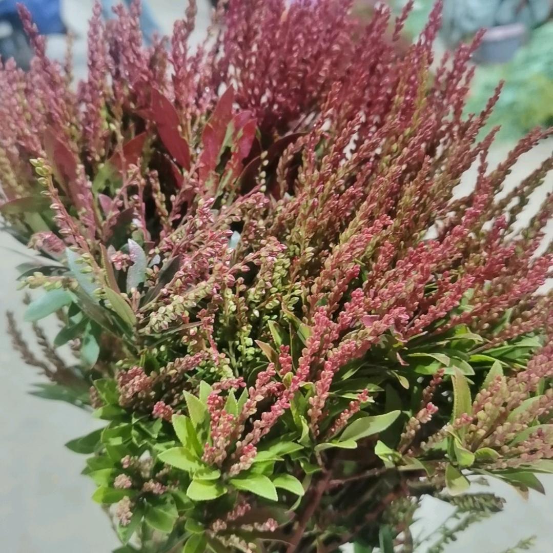 浩妍花艺坊