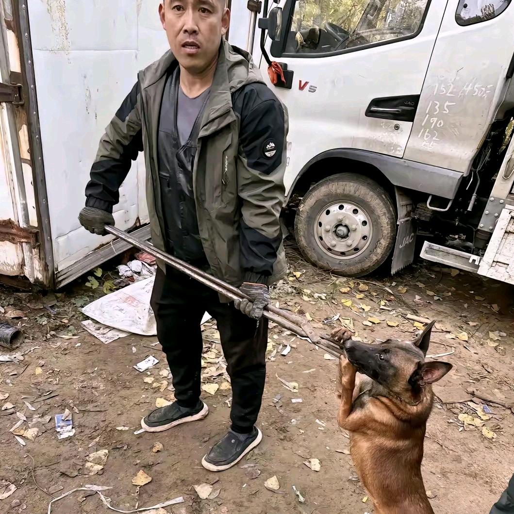 AAA李师傅专业套狗