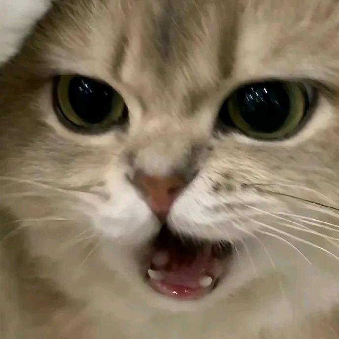 不买立省百分百