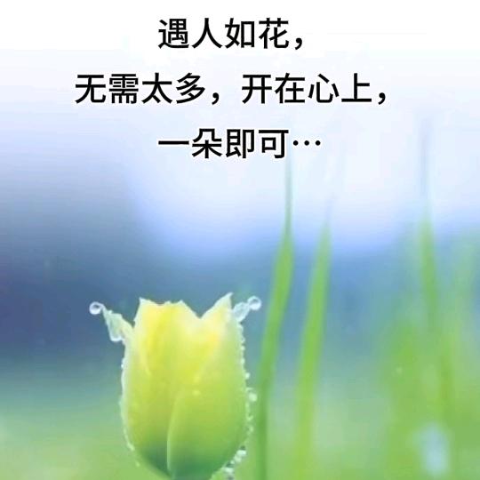 浅月琉璃