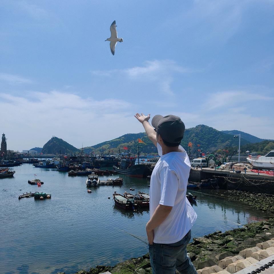楠来北往