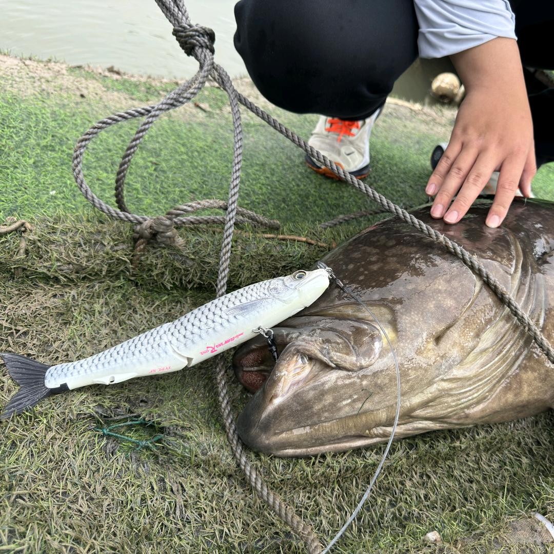 咸腥猎鱼人🎣  （山野路亚签约钓手）