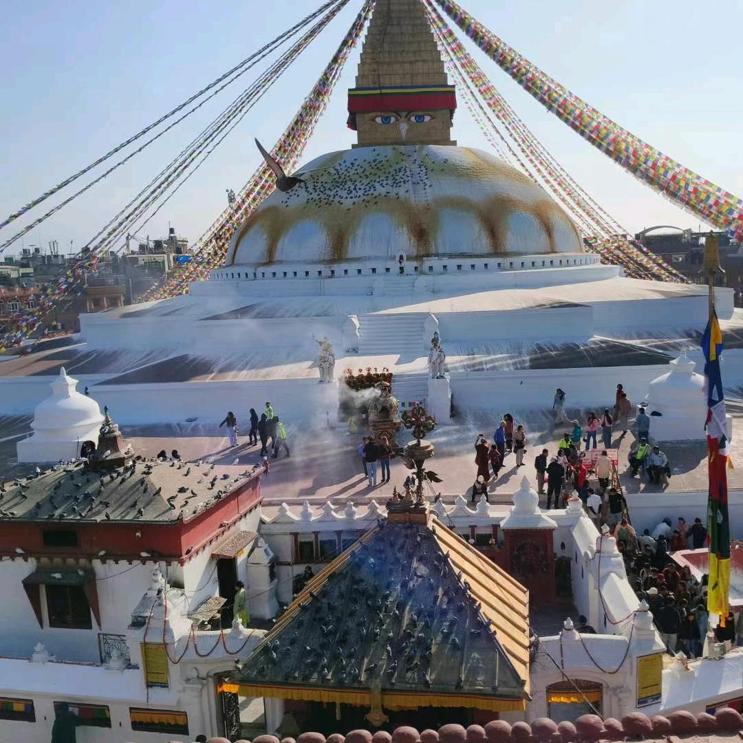 @西藏兄弟连、拉先生 8…… 💕