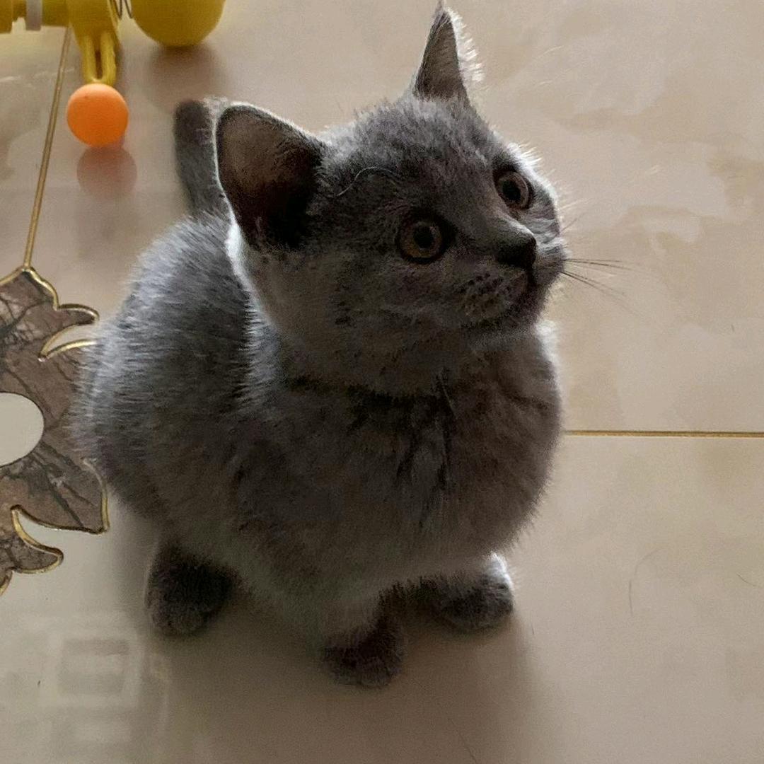 浅夏初雨❄️❄️