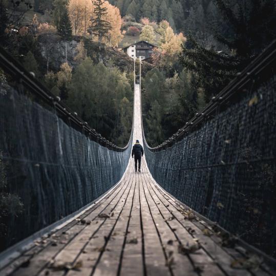 学习鼠（努力学习生存）