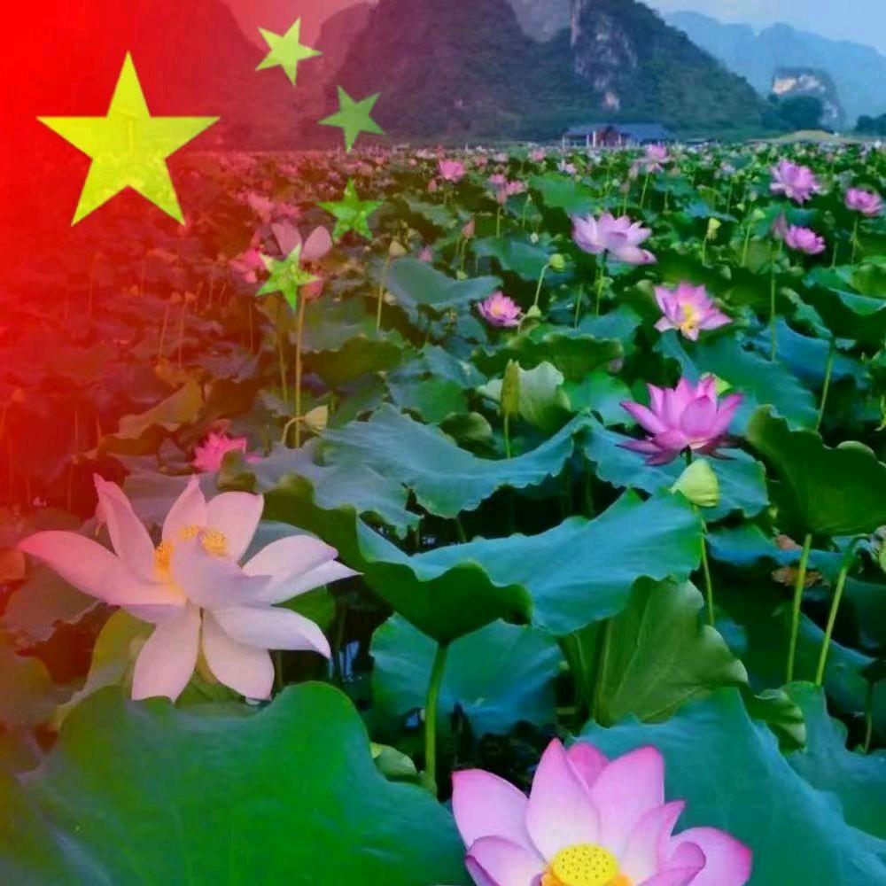 天山画院   李少波