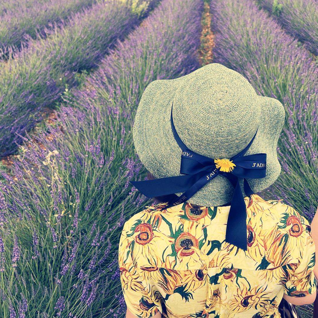 刘思远@南阁子@抖音