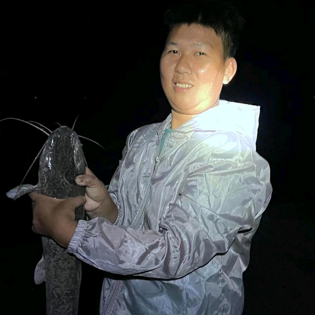 电白洪金宝