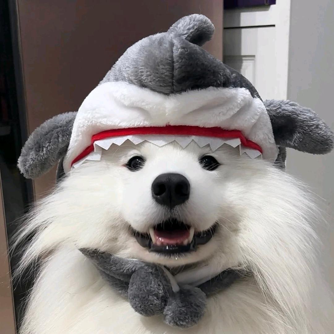 小王同学别刷抖音了