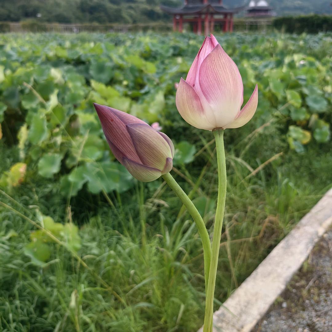 我一