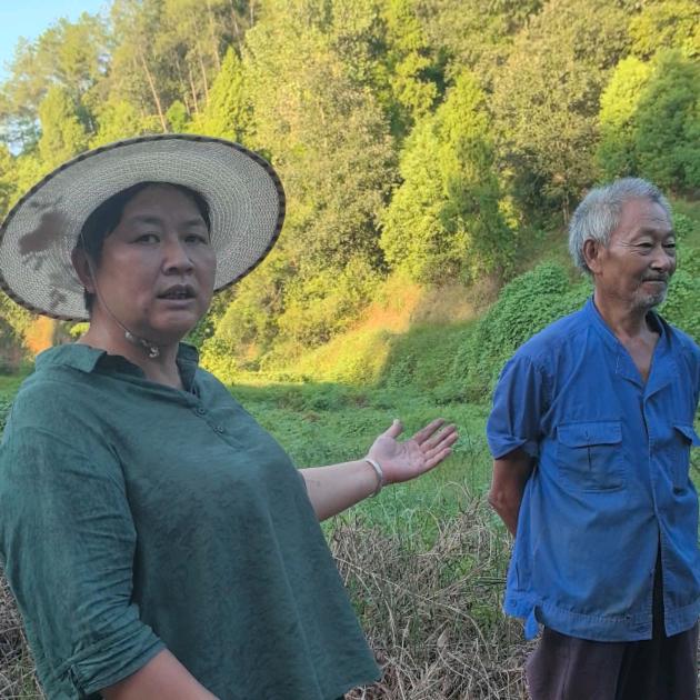 山货地产中药材刘姐